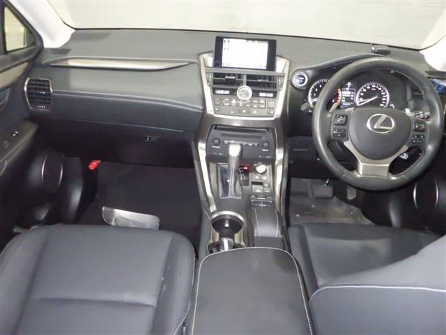 LEXUS NX300