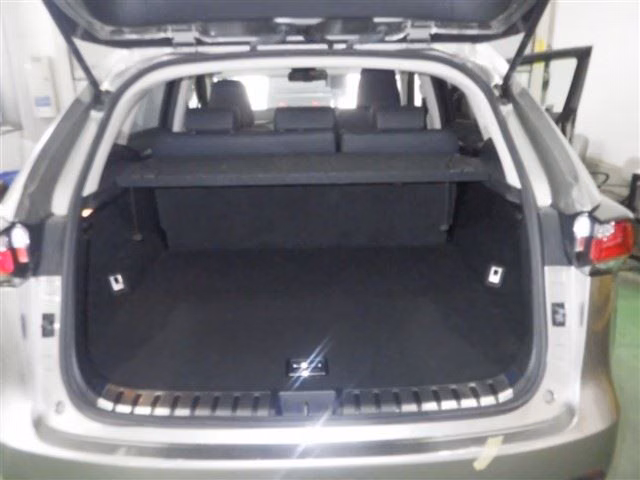 LEXUS NX300