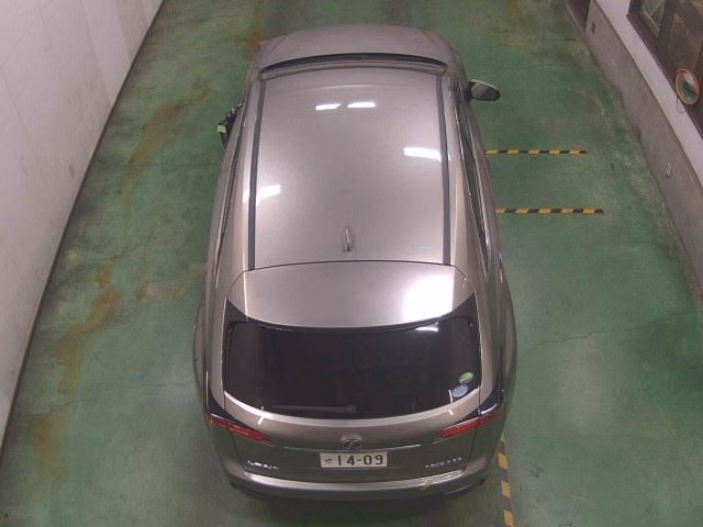 LEXUS NX300