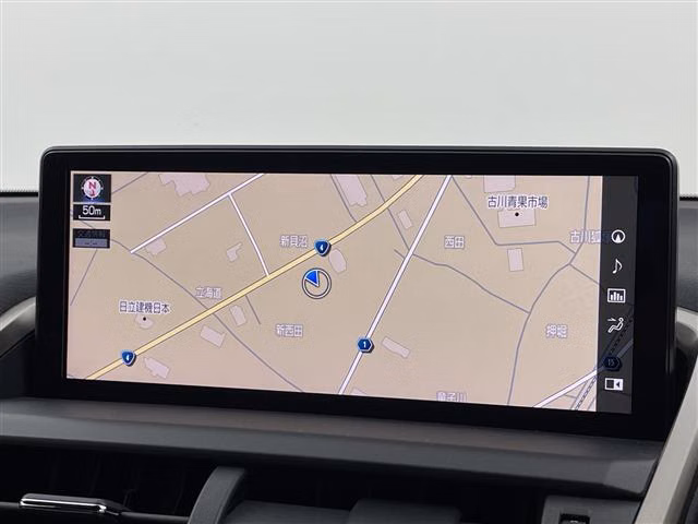 LEXUS NX300