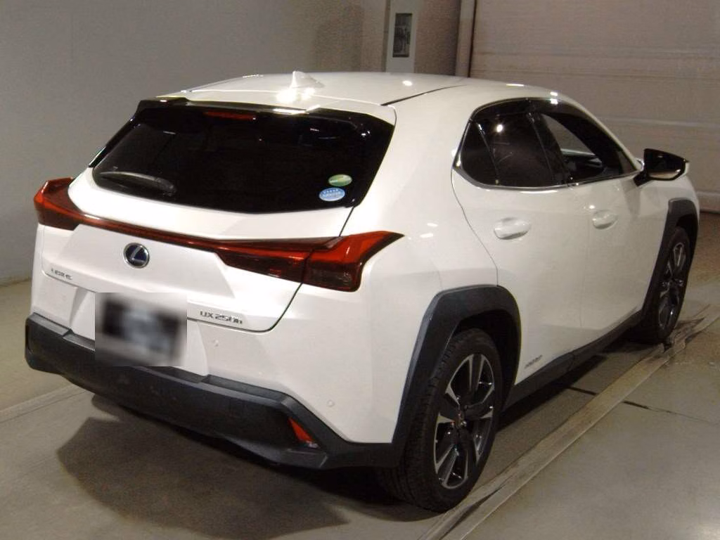 LEXUS UX250H