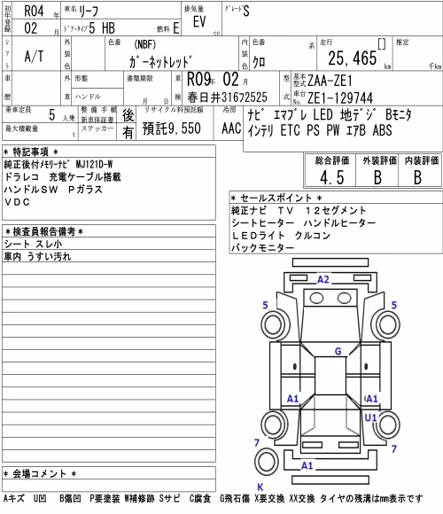 NISSAN LEAF