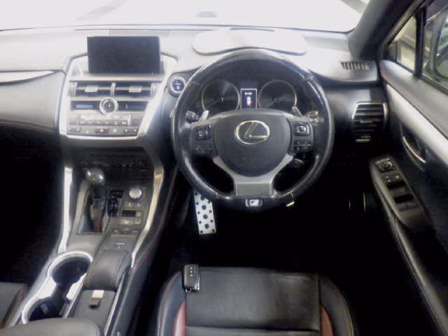 LEXUS NX300
