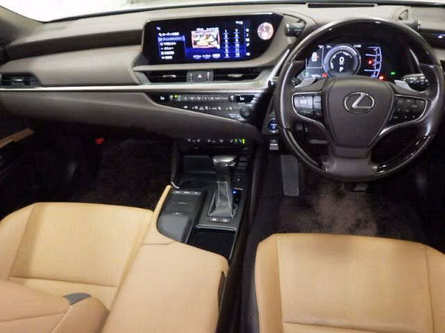 LEXUS ES300H