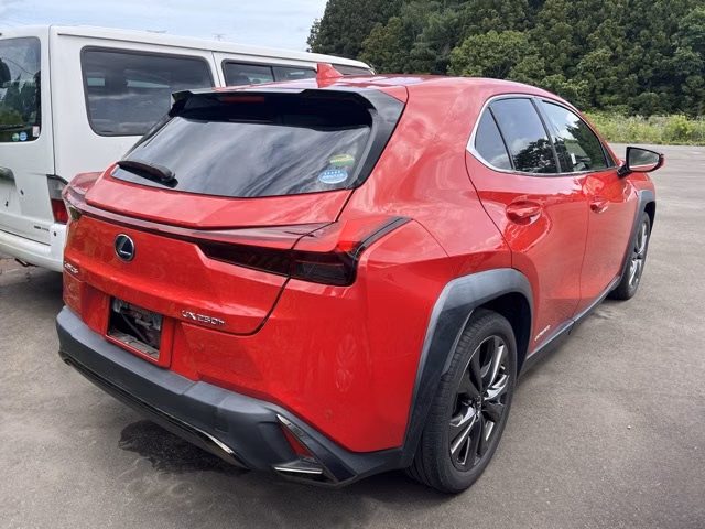 LEXUS UX250H