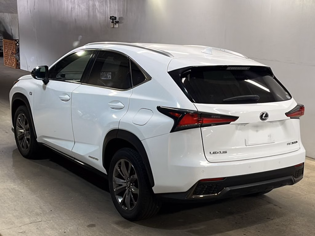 LEXUS NX300