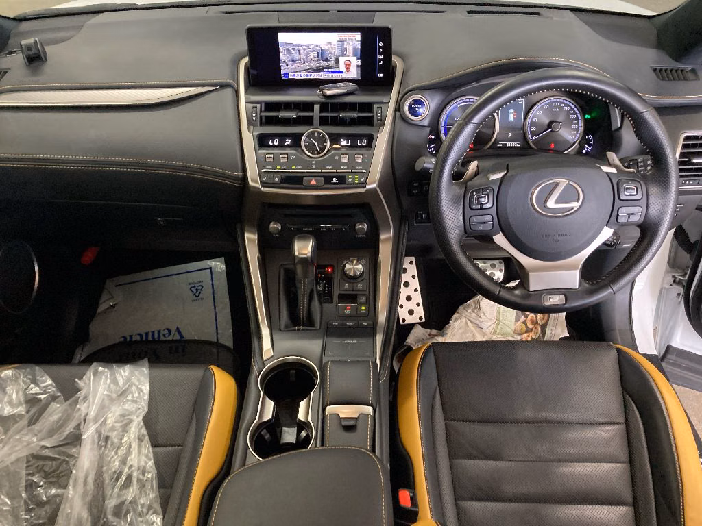 LEXUS NX300