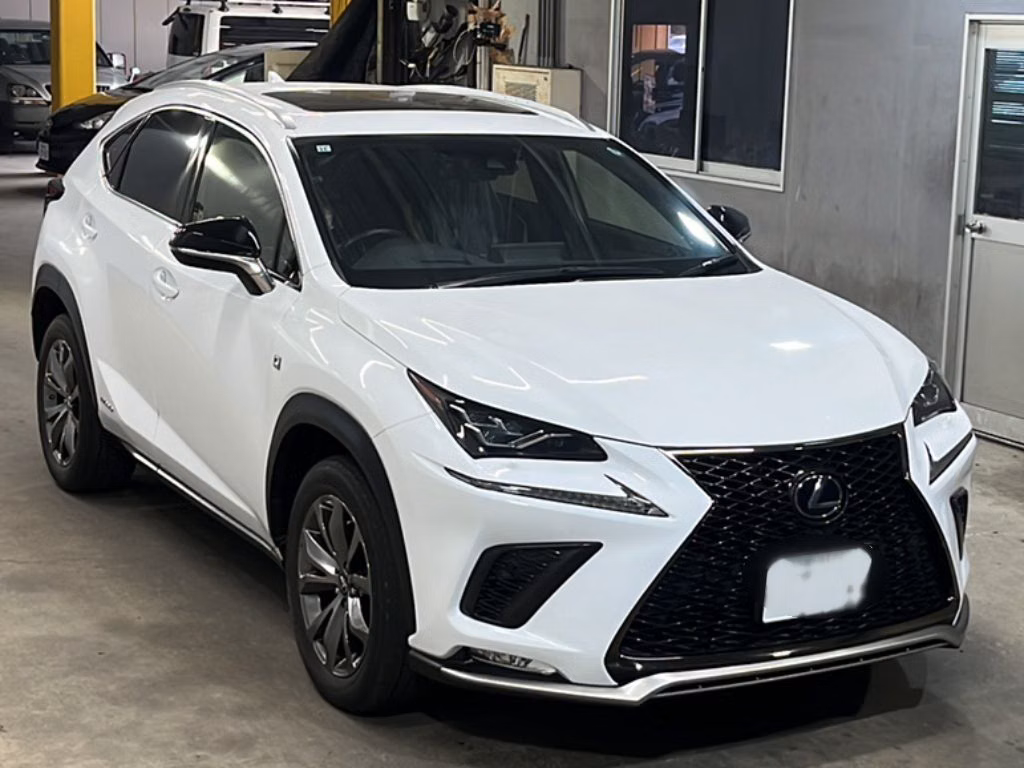 LEXUS NX300