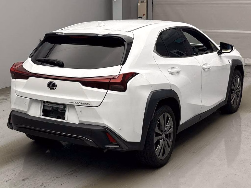 LEXUS UX250H