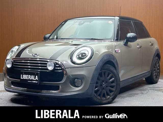 MINI HATCH