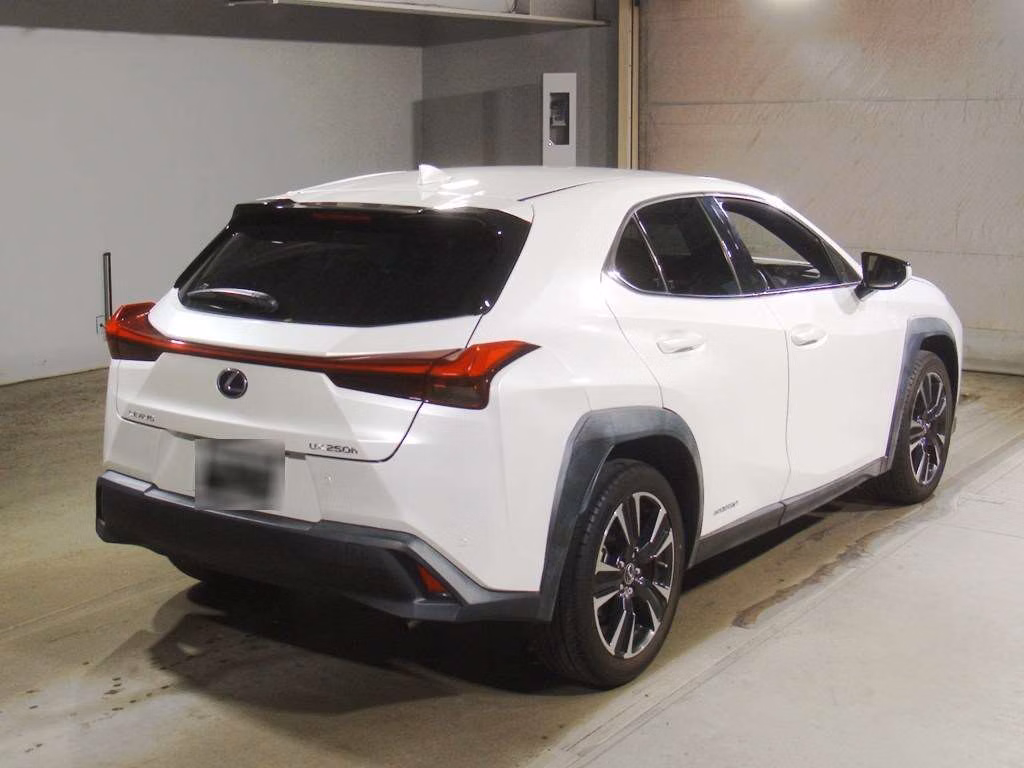 LEXUS UX250H