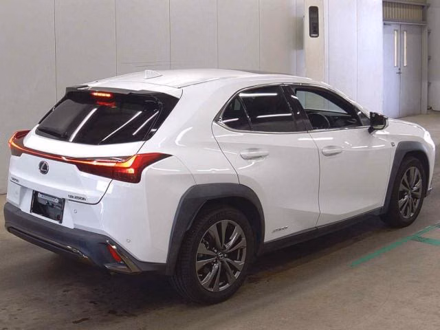 LEXUS UX250H