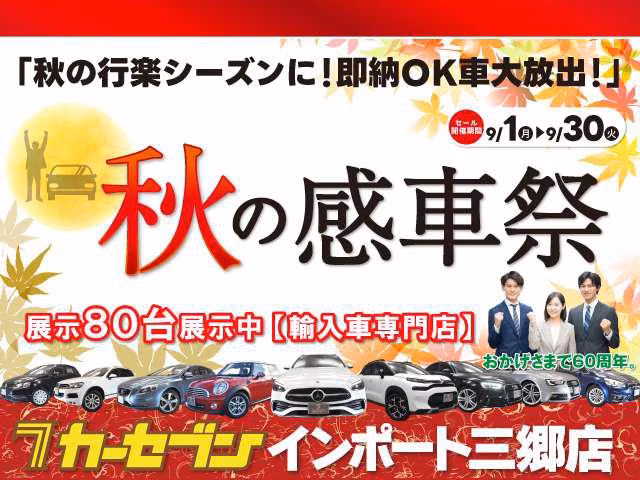 TOYOTA REGIUS ACE