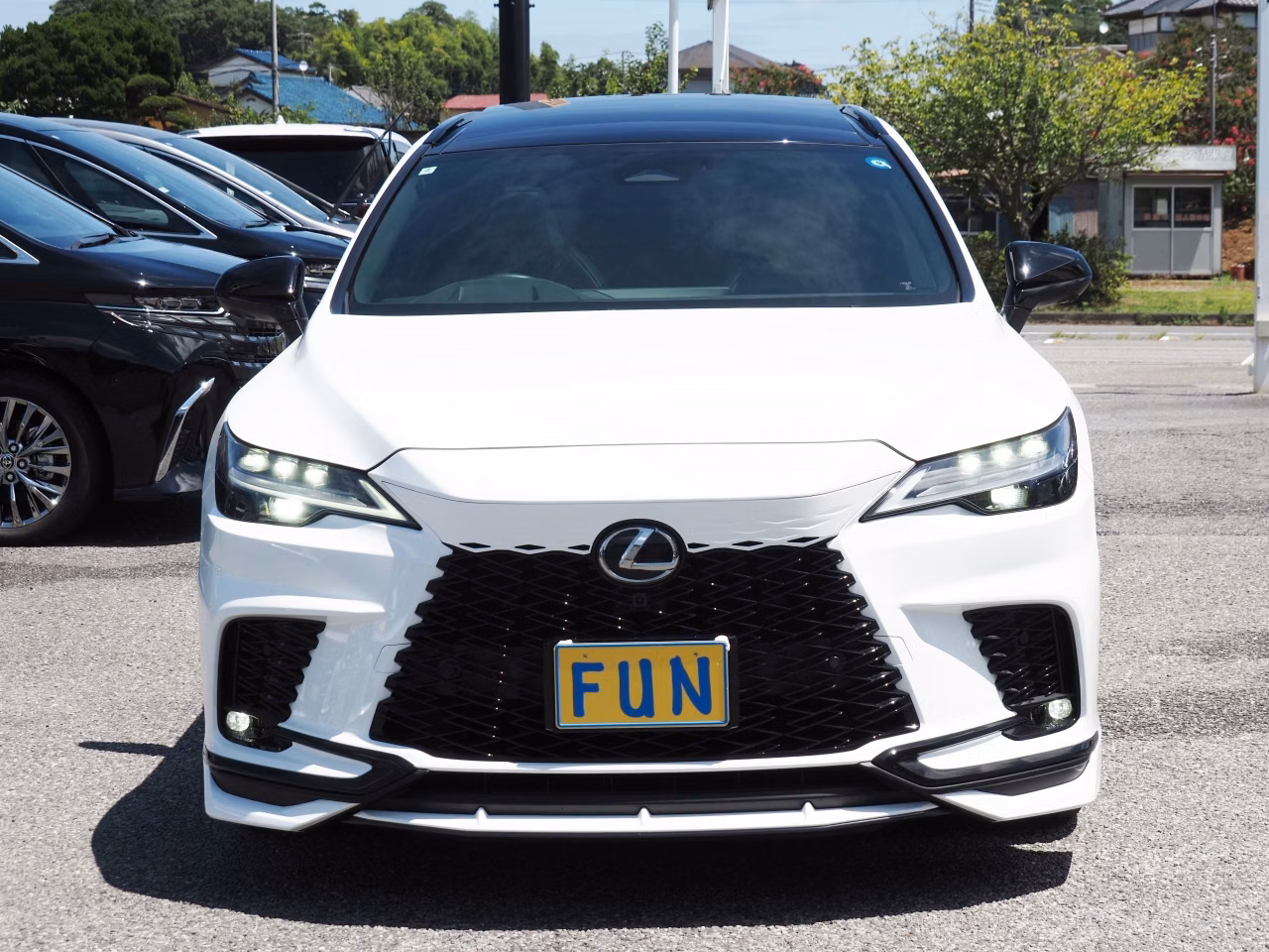 LEXUS RX500H