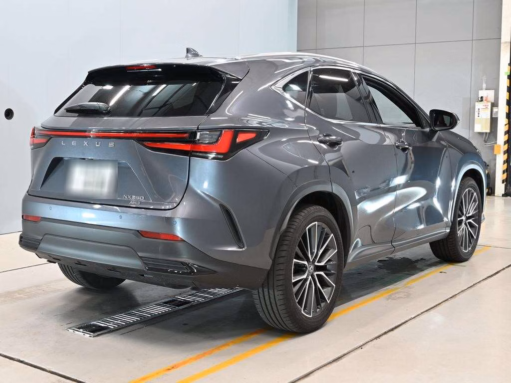 LEXUS NX250