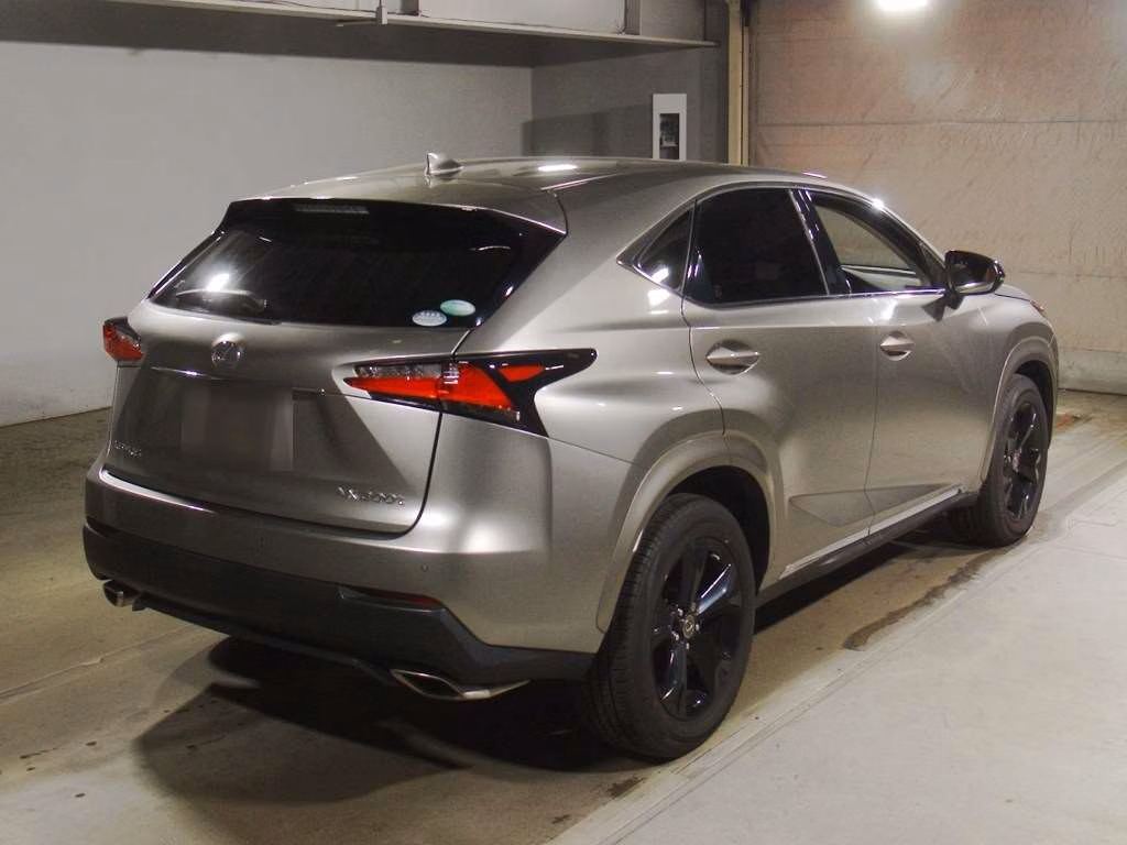 LEXUS NX300