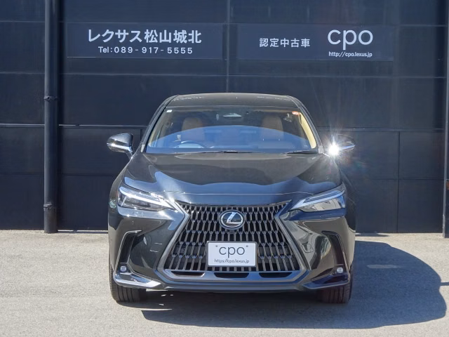 LEXUS NX250