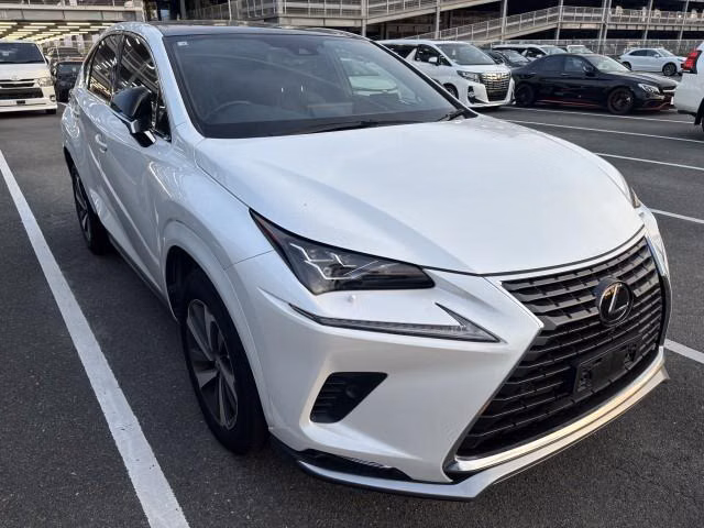 LEXUS NX300