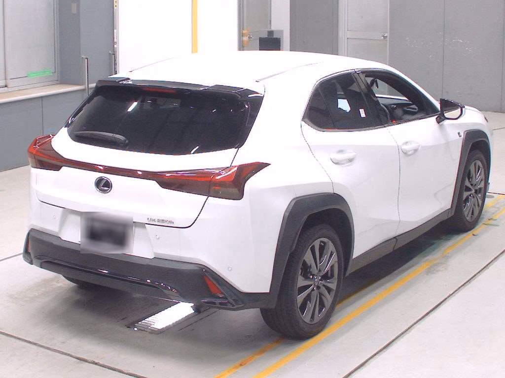 LEXUS UX250H