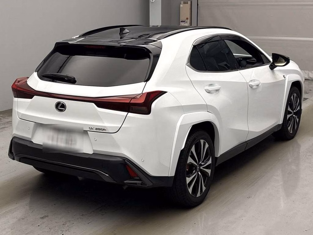 LEXUS UX250H