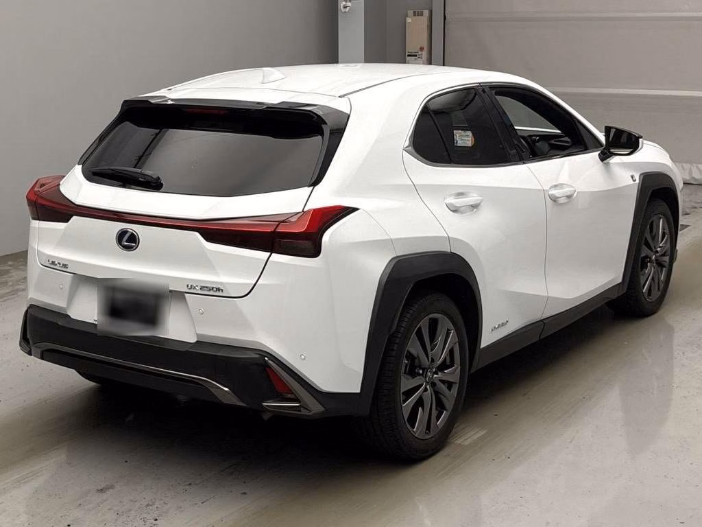 LEXUS UX250H
