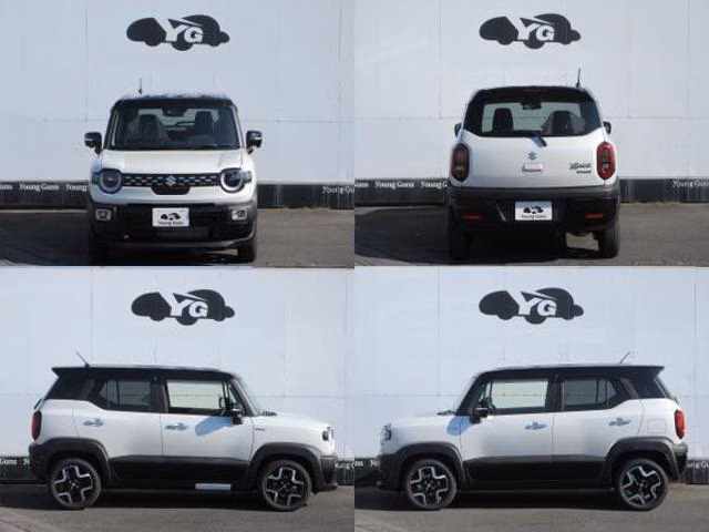 SUZUKI XBEE