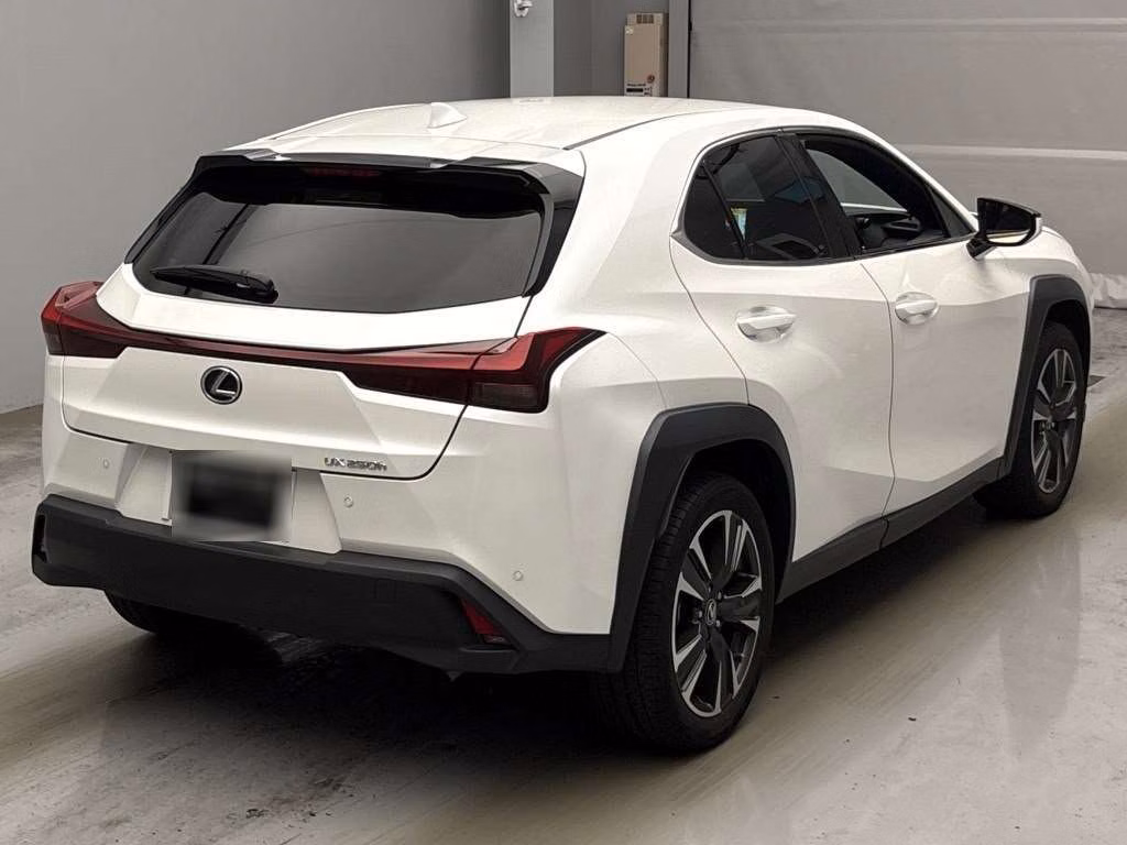 LEXUS UX250H