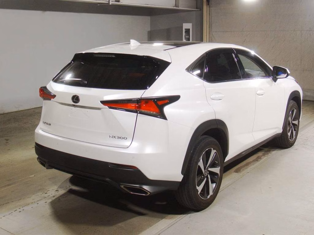 LEXUS NX300