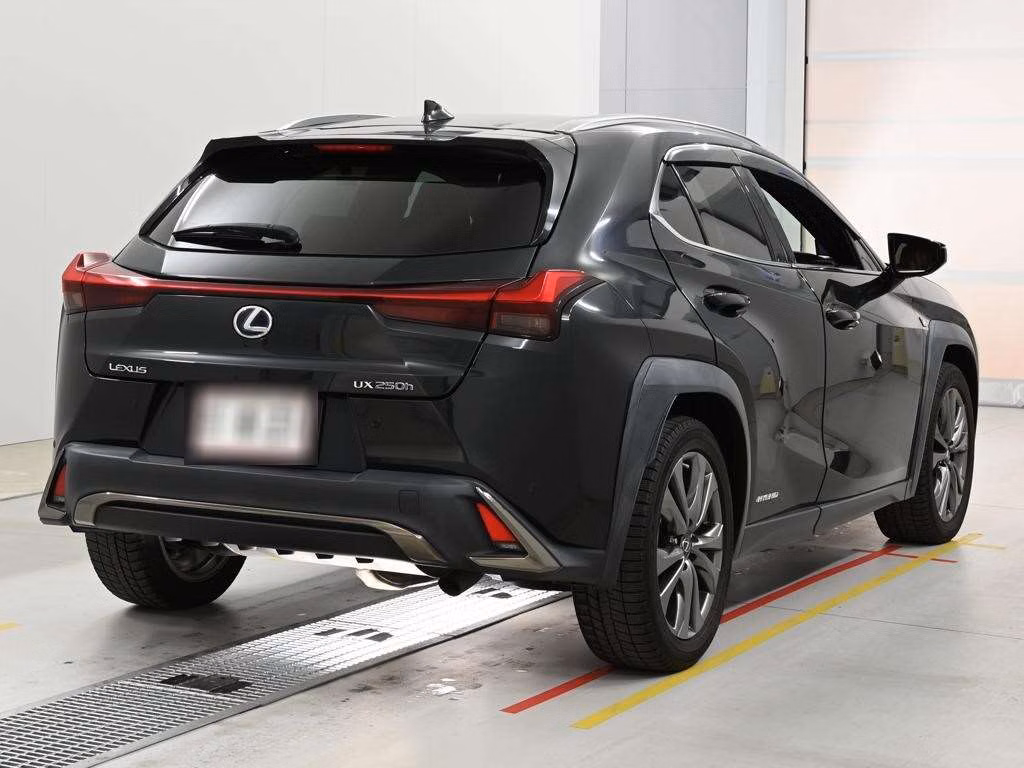 LEXUS UX250H