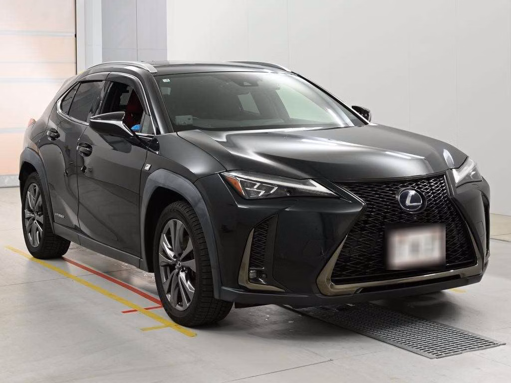 LEXUS UX250H
