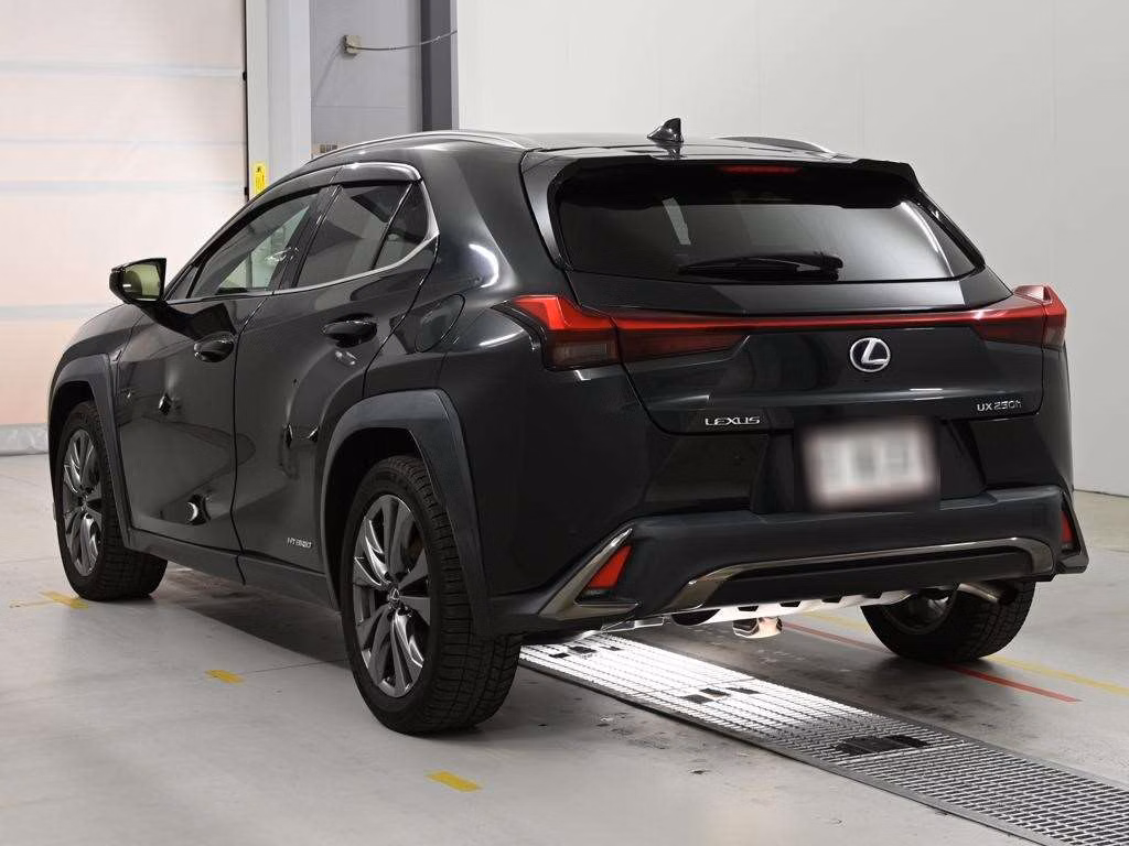 LEXUS UX250H