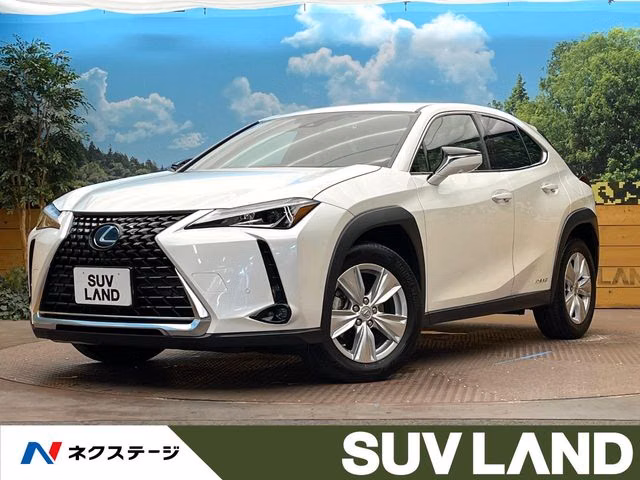 LEXUS UX250H