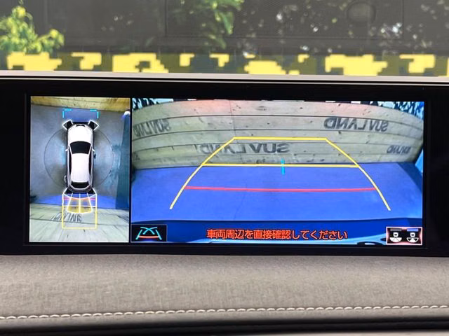 LEXUS UX250H