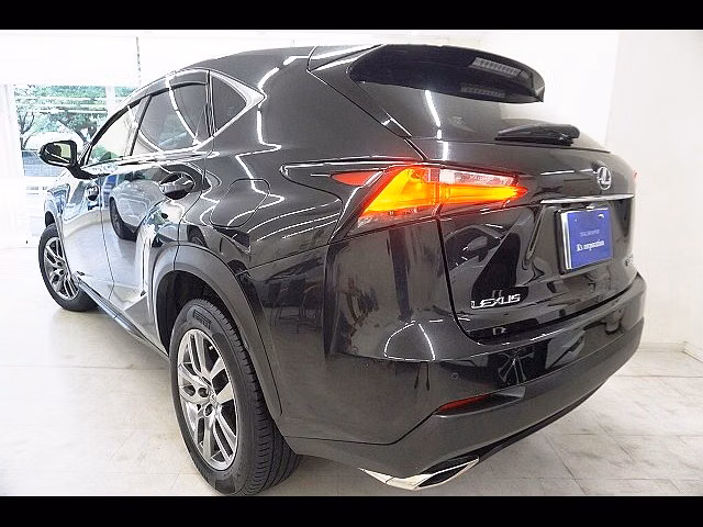 LEXUS NX300