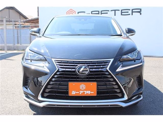 LEXUS NX300