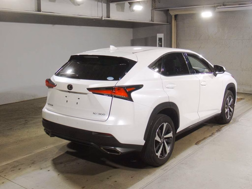 LEXUS NX300