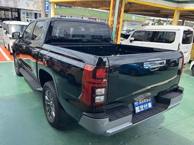 MITSUBISHI TRITON