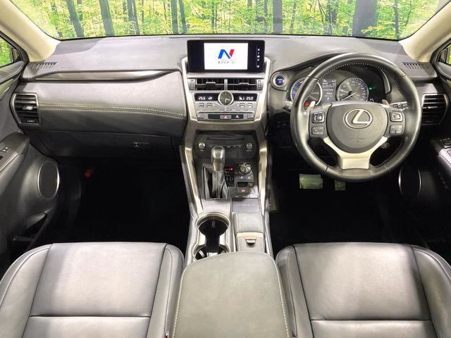 LEXUS NX300H