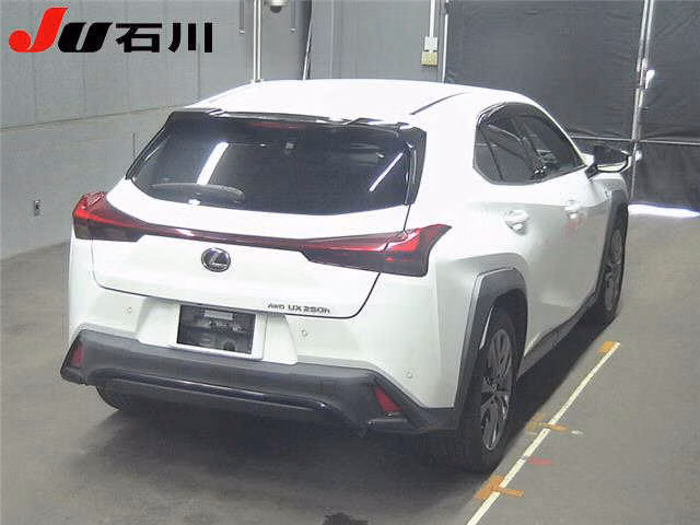 LEXUS UX250H