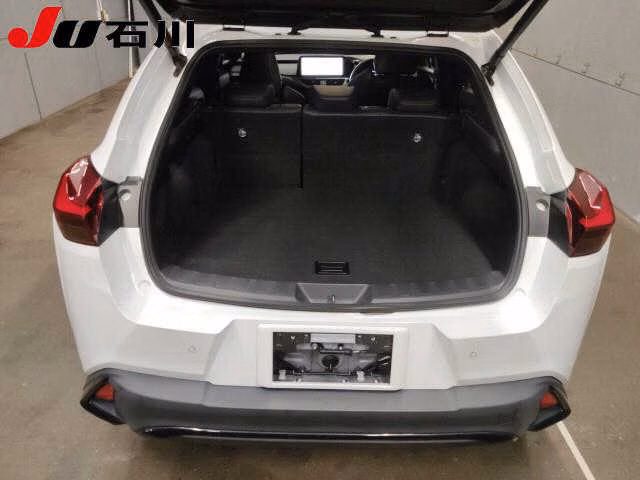 LEXUS UX250H