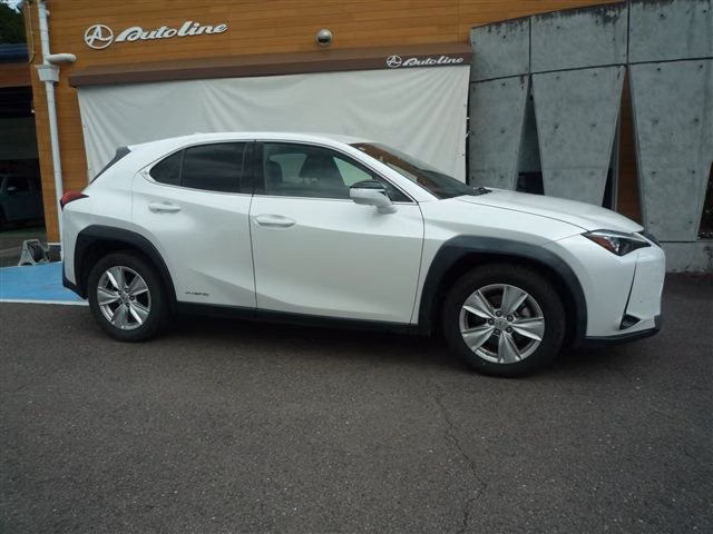 LEXUS UX250H