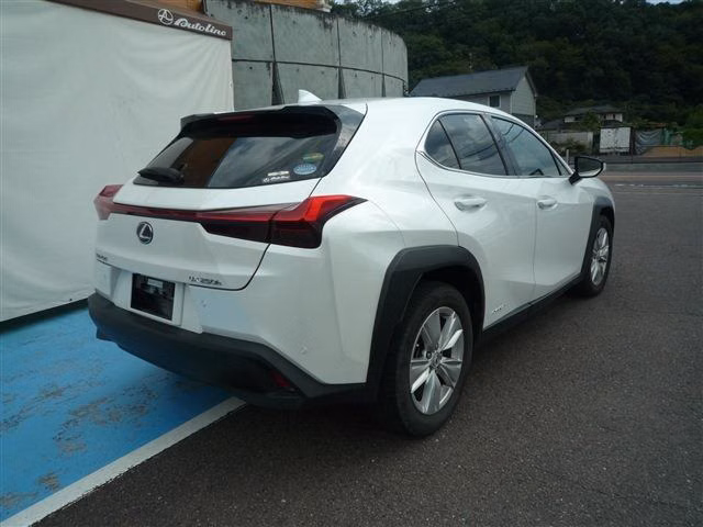 LEXUS UX250H