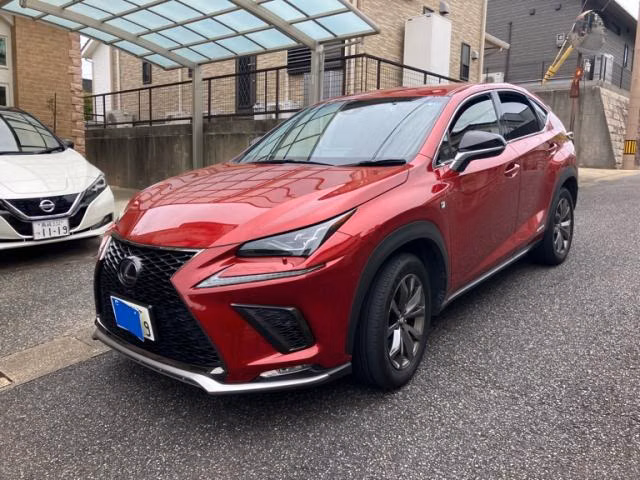 LEXUS NX300