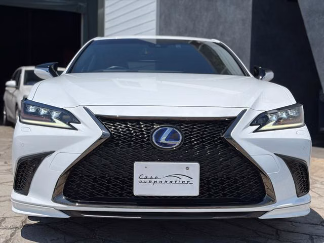 LEXUS ES300H