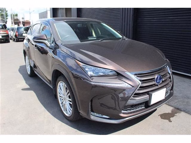 LEXUS NX300