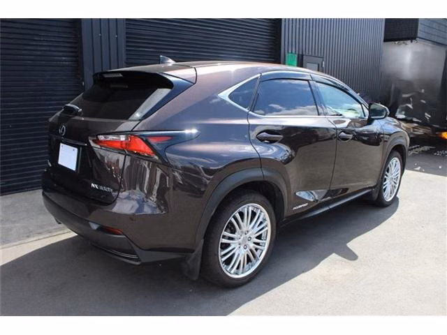 LEXUS NX300