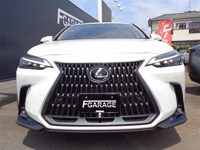 LEXUS NX450H+