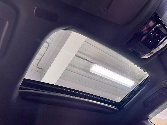LEXUS RX500H
