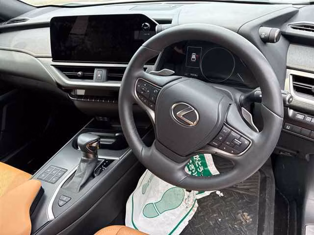 LEXUS UX200