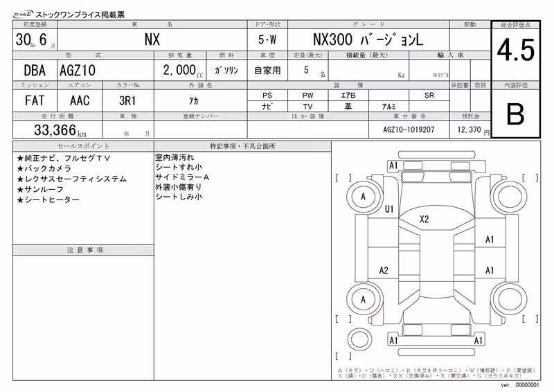 LEXUS NX300